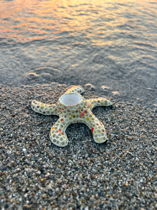 STELLA MARINA PORTACANDELE