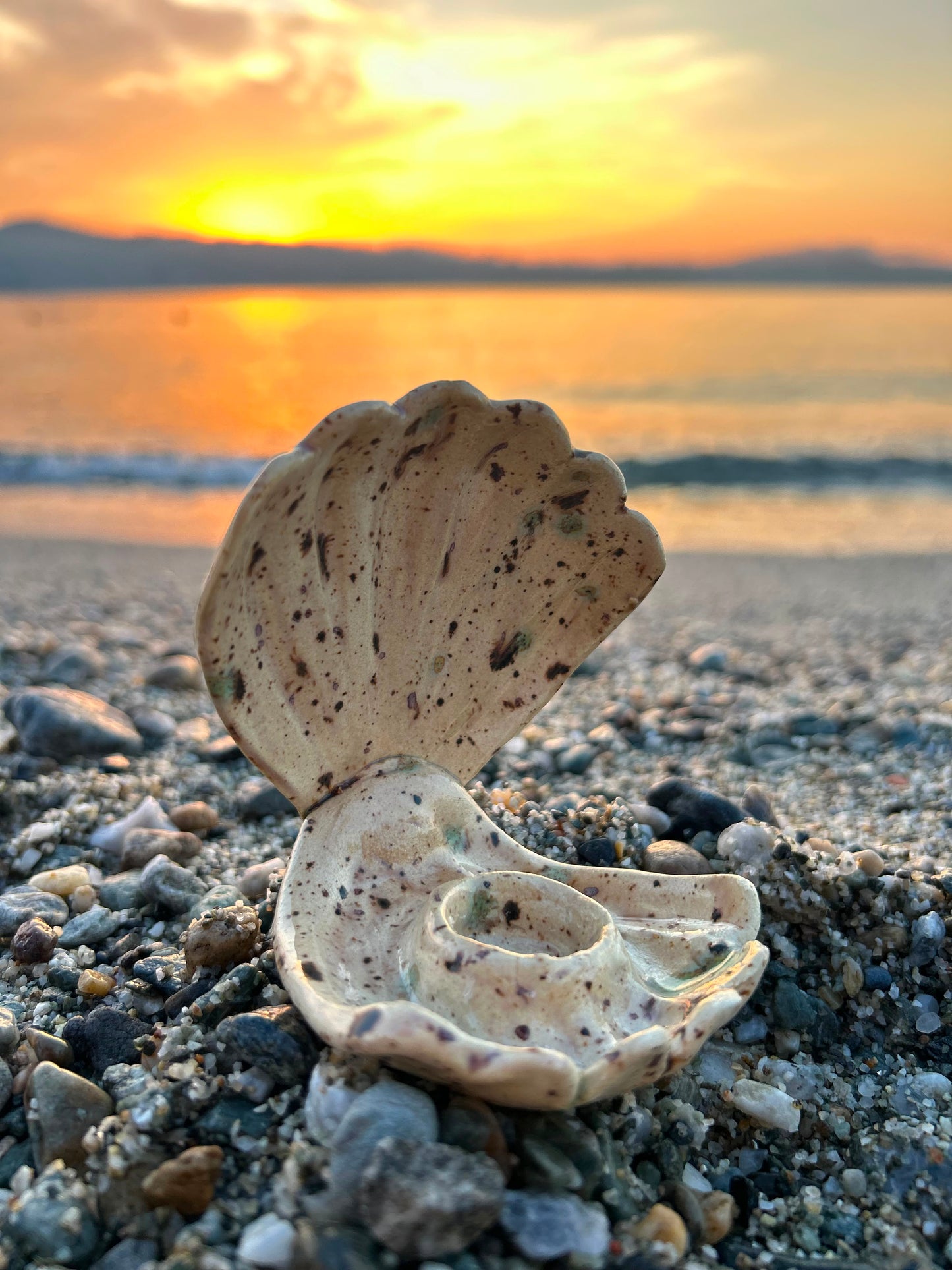 CONCHIGLIA PORTACANDELA MARE