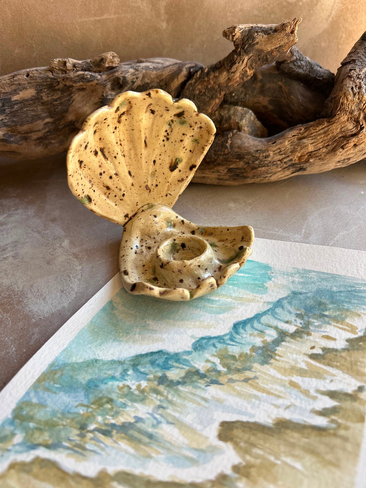 CONCHIGLIA PORTACANDELA MARE